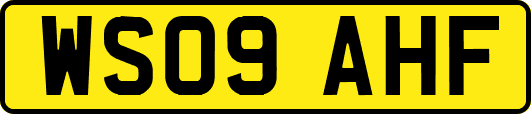 WS09AHF