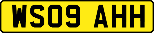 WS09AHH