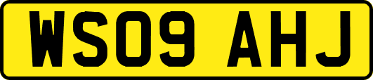 WS09AHJ