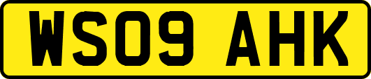 WS09AHK