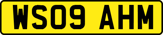 WS09AHM