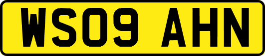 WS09AHN