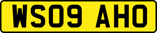 WS09AHO