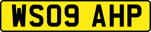 WS09AHP