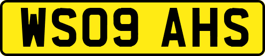 WS09AHS