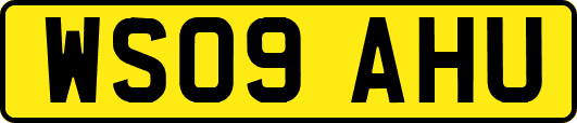 WS09AHU