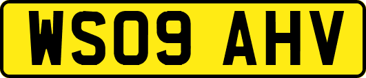 WS09AHV