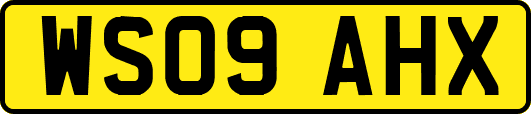 WS09AHX