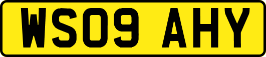 WS09AHY