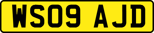 WS09AJD