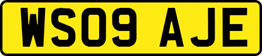 WS09AJE