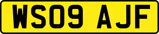 WS09AJF