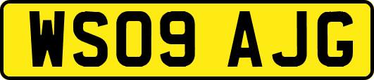 WS09AJG