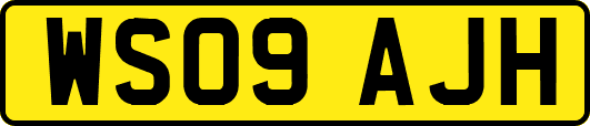 WS09AJH