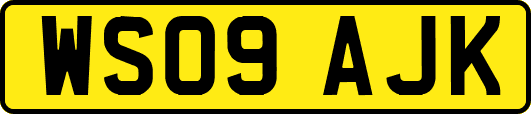 WS09AJK