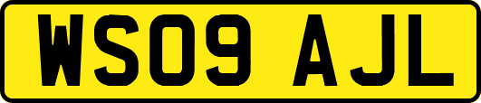 WS09AJL