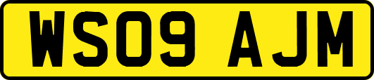 WS09AJM