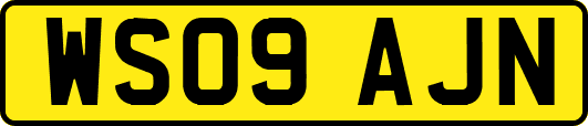 WS09AJN