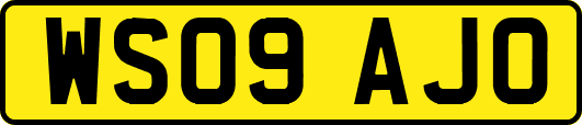 WS09AJO
