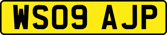 WS09AJP