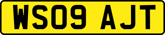 WS09AJT