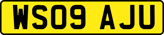 WS09AJU