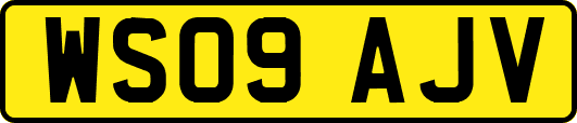 WS09AJV