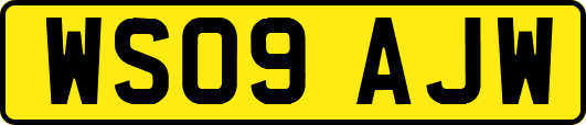 WS09AJW