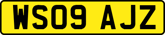 WS09AJZ