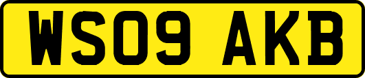WS09AKB