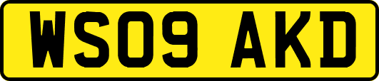 WS09AKD