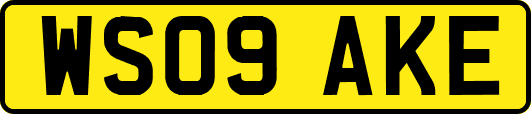 WS09AKE