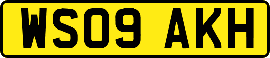 WS09AKH