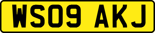 WS09AKJ