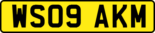 WS09AKM