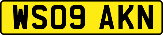 WS09AKN