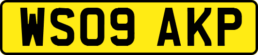 WS09AKP