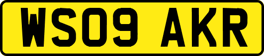 WS09AKR