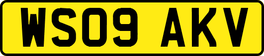 WS09AKV