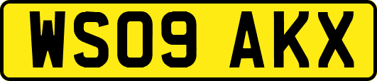 WS09AKX