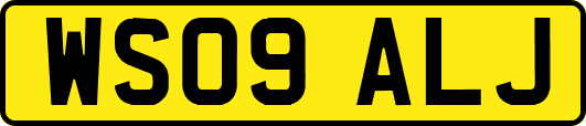 WS09ALJ