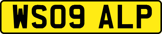 WS09ALP