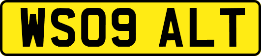 WS09ALT