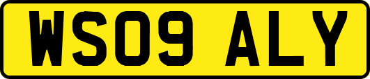 WS09ALY