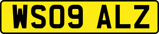 WS09ALZ