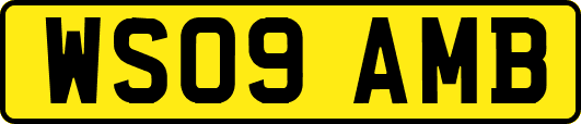 WS09AMB