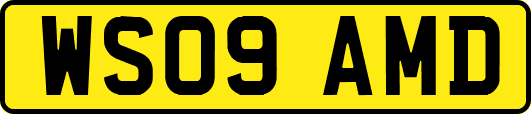 WS09AMD