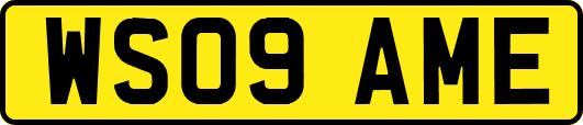 WS09AME