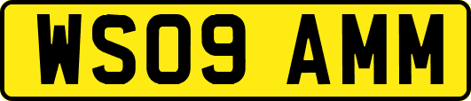 WS09AMM