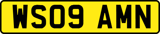 WS09AMN
